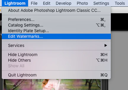 lightroom menu - edit watermarks