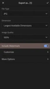 include watermark toggle lrmapks.com