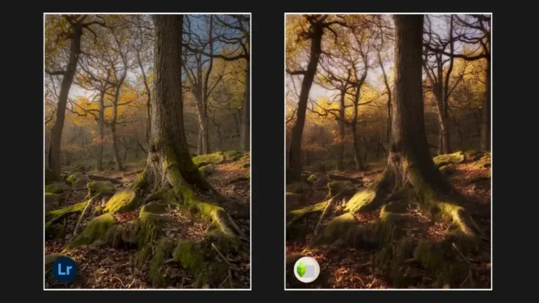 lightroom vs snapseed photo editing lrmapks.com